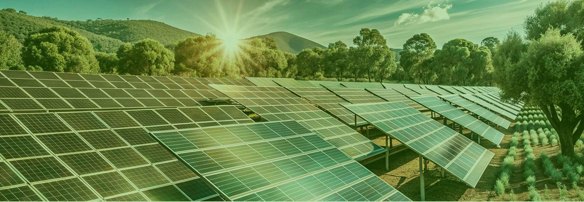 Agrisolare 2026 aziende sardegna